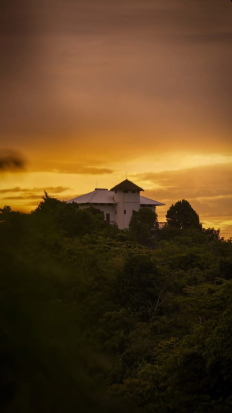 Eagle landing place with jungle and ocean views also several surf spots