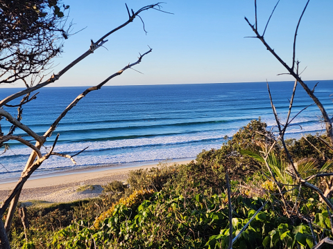 Very Cool, Coastal Granny Flat: A four minute stroll takes you down to miles of sandy beaches.