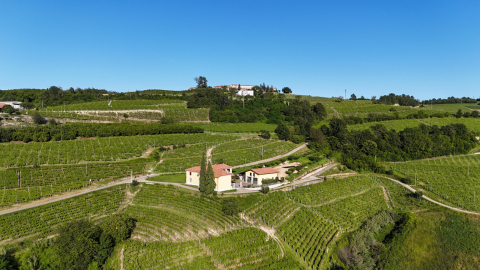 2BD apartment in villa with the pool in Langhe wine-growing hills (UNESCO heritage site)