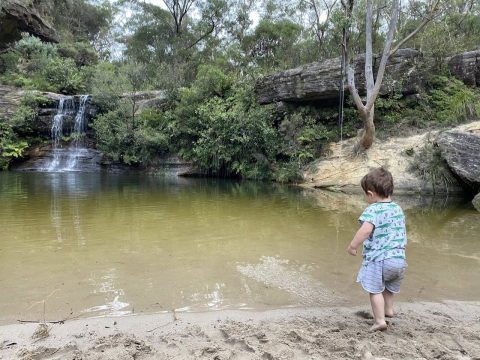 Nature retreat at the foot of the Blue Mountains, explore nature, local villages, enjoy train trips to Sydney