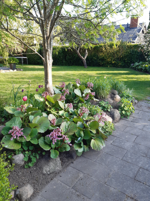 Family friendly house just 25 min north of Wonderful Copenhagen