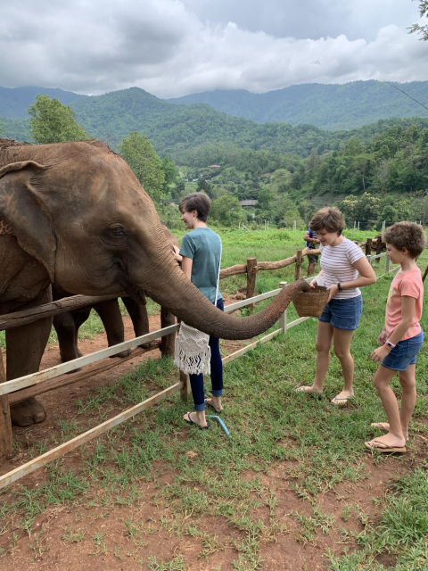 Big family home in Northern Thailand