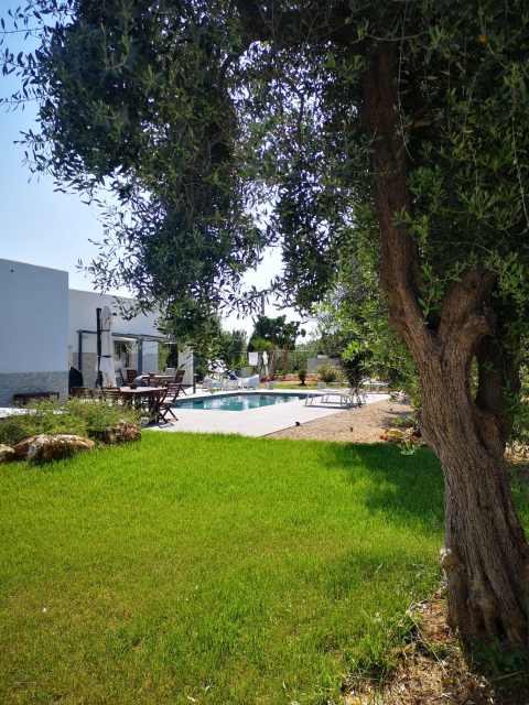 We have no further availability for 2026 Private villa with pool, Puglia, 3bed, 3Bath