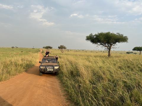 Tor zur Perle Afrikas