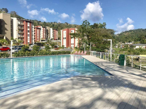 Caribbean Oasis- Trinidad flat
