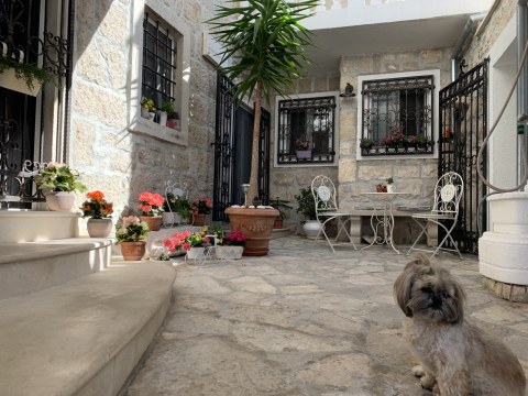 “Villa Chara”, Korcula Island (90 km away from Dubrovnik)