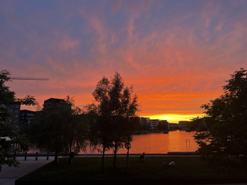 Waterfront + sunsets in modern family-friendly condo