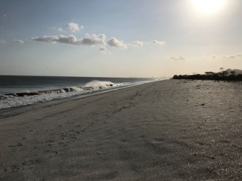 Relax and enjoy the beach... it's less than 80 steps away!