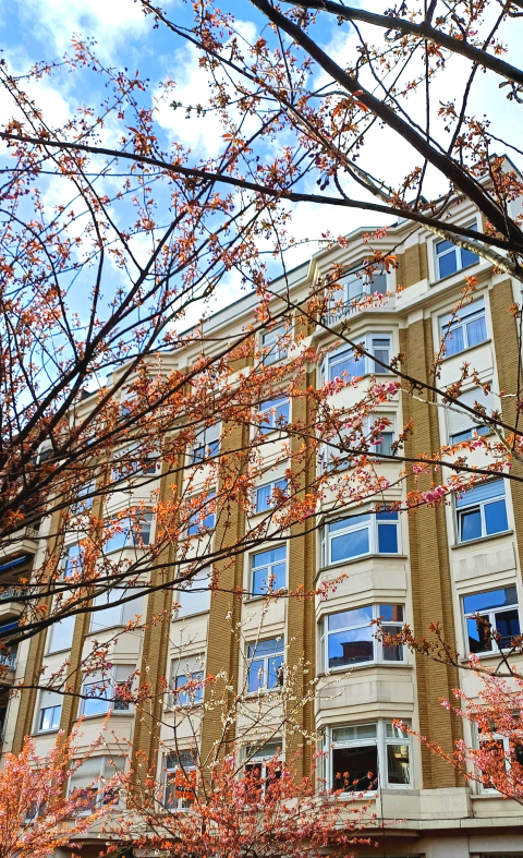 Explore Brussels from our spacious Art Deco flat in lively neighbourhood *more photos coming soon!*