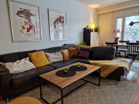 Authentic Finnish living close to the Baltic and the city of Helsinki. And Sauna