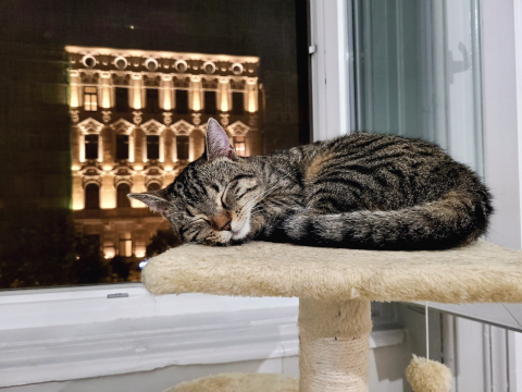 Downtown, Budapest - Centrally located with everything you want in Walking Distance!