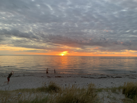 Spacious cottage close to the best beach