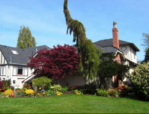 Heritage house near seashore in BC Capital: Low allergen & pet-free 🚴 🥾 ⛳ 🚭 🏡 🇨🇦