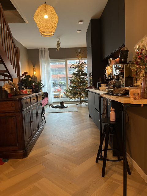 Spacious house in a nicest and central neighborhood in Amsterdam.