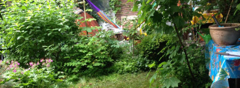 Tiny but cosy groundfloor apartment with private backyard