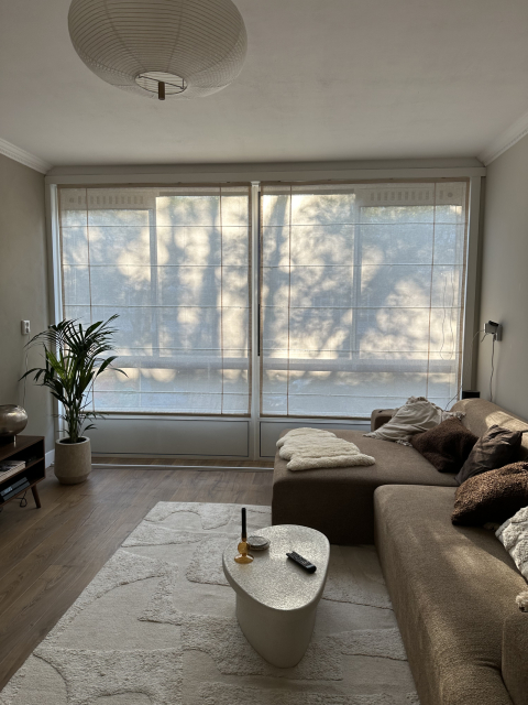Renovated 72m2 apartment in Amsterdam