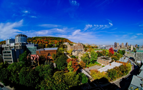 Montréal City Centre. Open to EXCHANGE or GLOBE! Superb apartment in the heart of Montreal with a breathtaking view over the Mont-Royal and the city