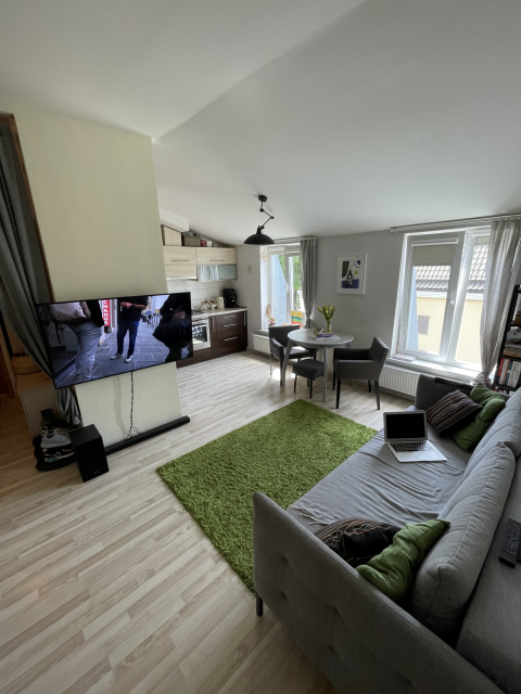 A cozy apartment in the heart of Vilnius