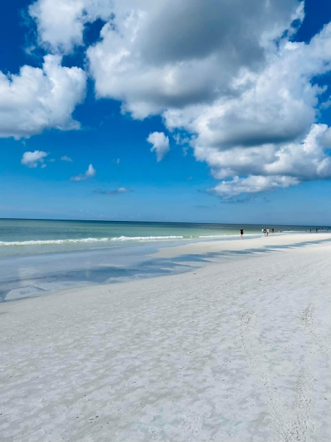 Coastal Oasis - Minutes to Siesta Key, Florida!
