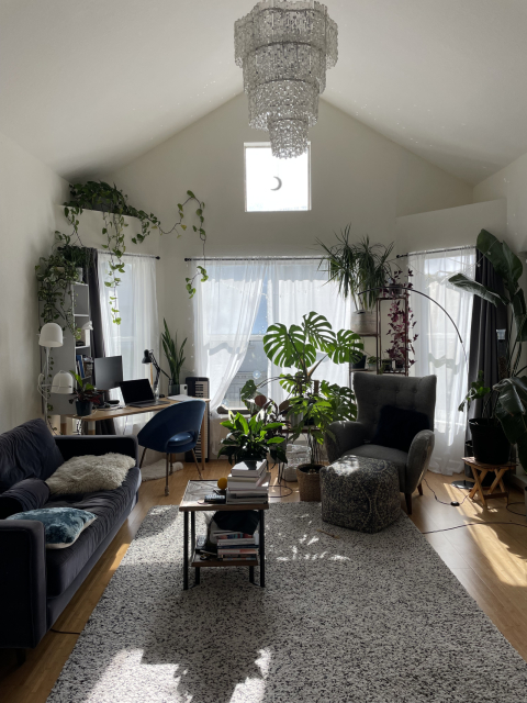 Sunny San Francisco Apartment with Cat Companion & Indoor Jungle