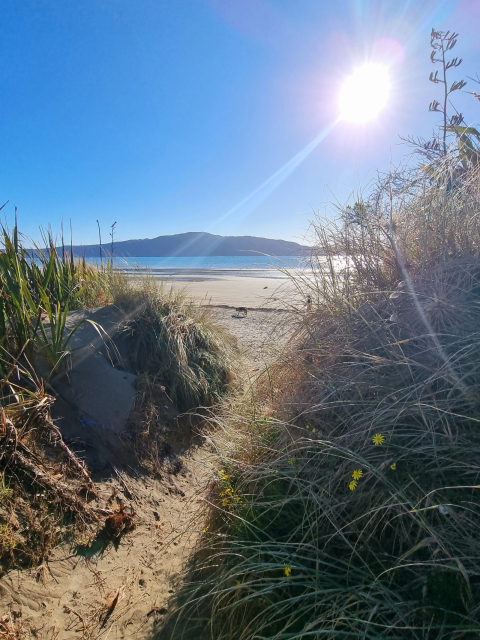 Family Friendly Guest-Suite At The Beach, 45mins from Wellington City