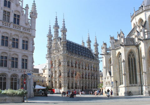 ✨Medieval Leuven in the heart of Europe✨(20' Brussels, 1h25 Bruges and 2h Paris)